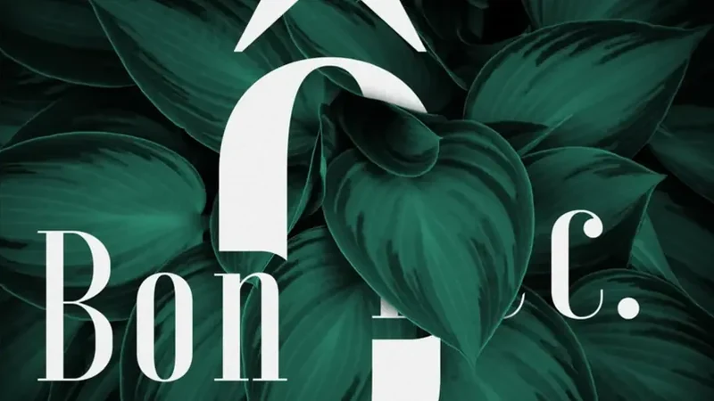 Projet Ô Bon Bec